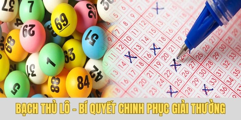 bạch thủ lô