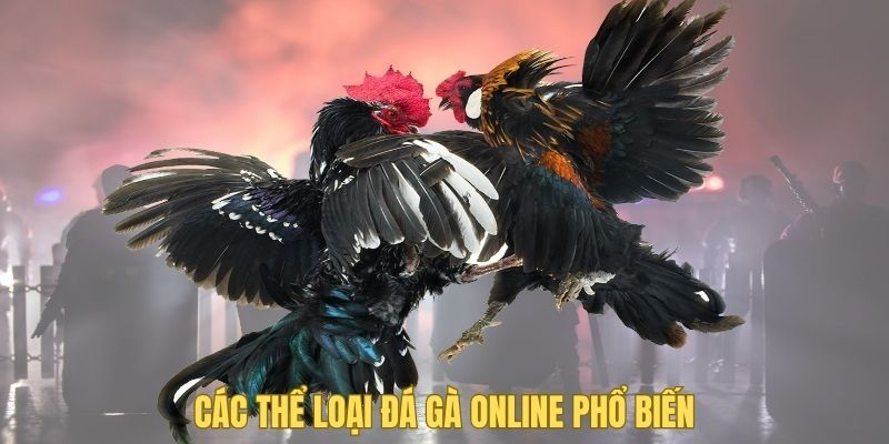 Có 4 thể loại đá gà online hot nhất hiện nay