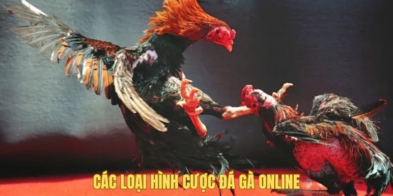 Có nhiều loại hình cược cho người chơi thoải mái chọn