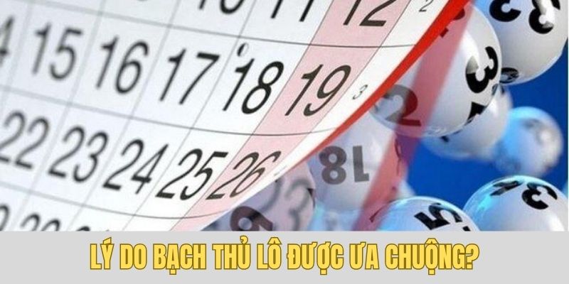 Bạch thủ lô mang lại nhiều ưu điểm vượt trội