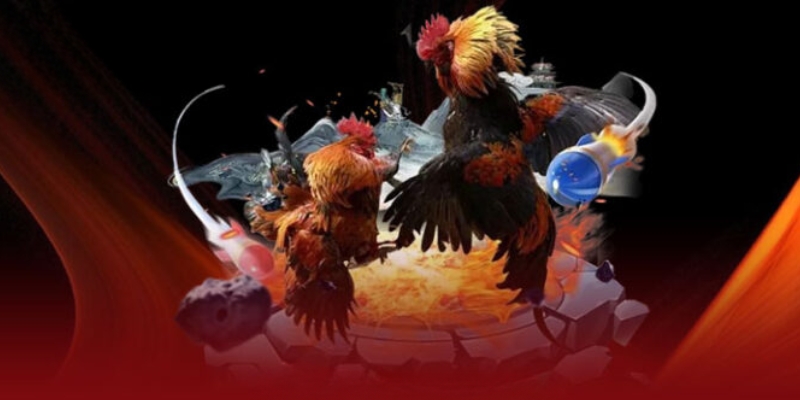 Trực tiếp đá gà F8bet